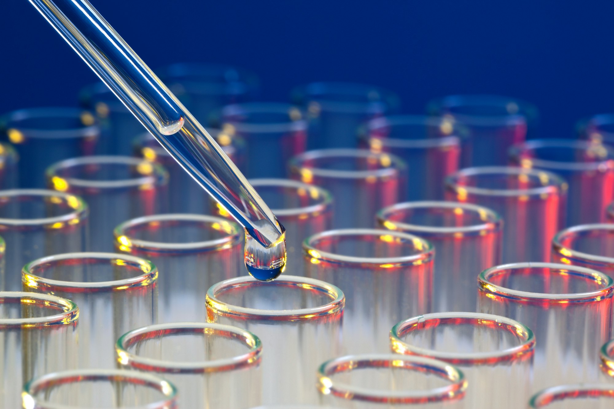 Laboratory Analysis